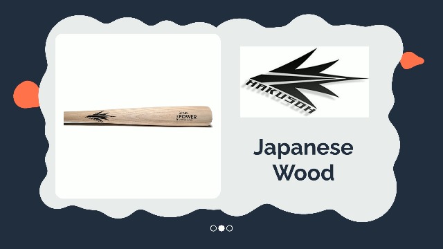 Amazon.com : HAKUSOH Baseball Bat Batting Equipment Ash Wood